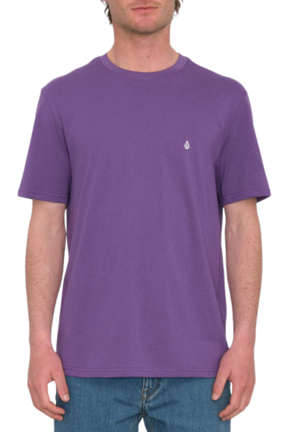 Volcom Stone Blanks Bsc Short Sleeve T-Shirt Deep Purple