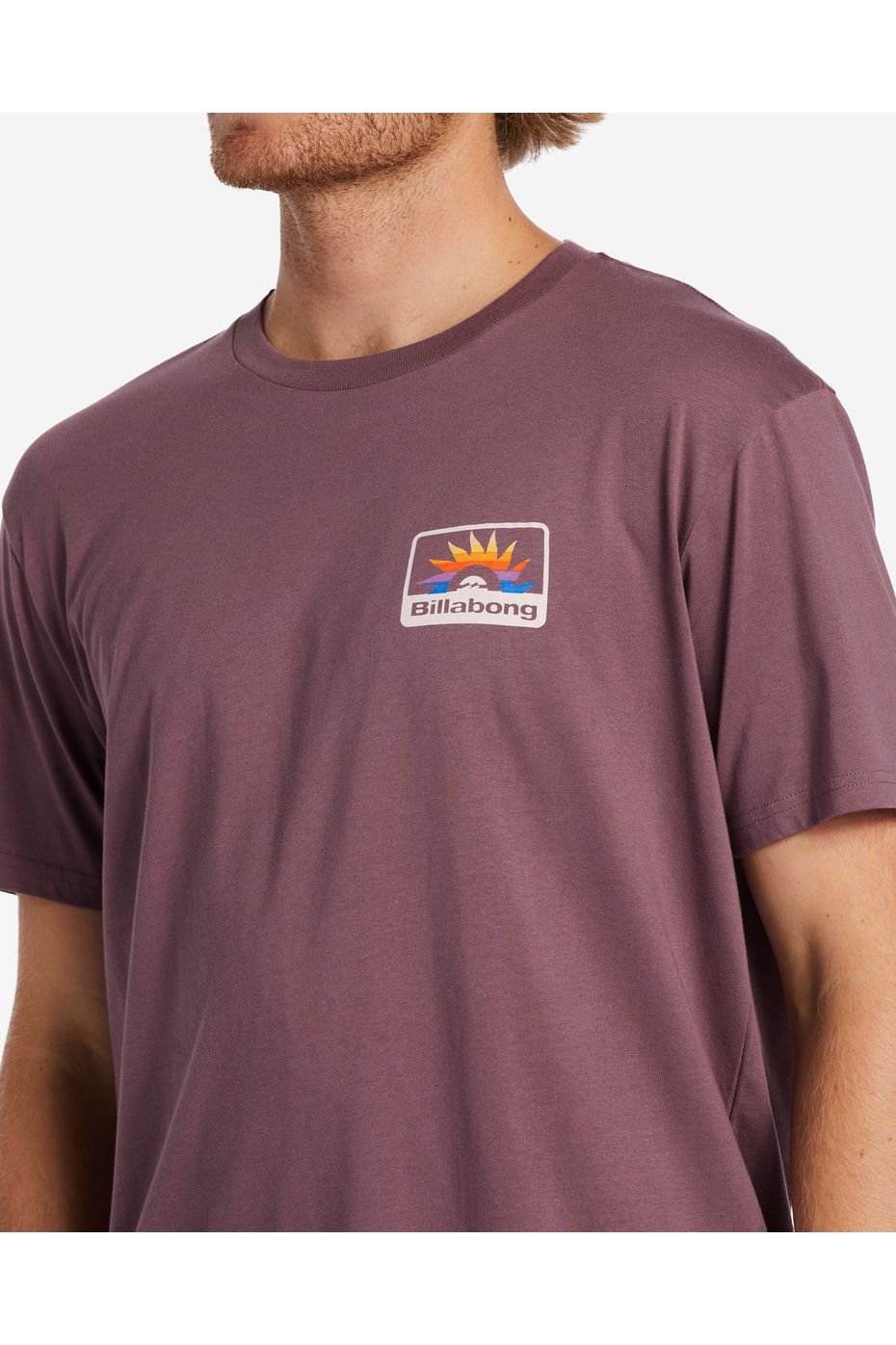 Billabong Walled Short Sleeve T-Shirt Vintage Violet