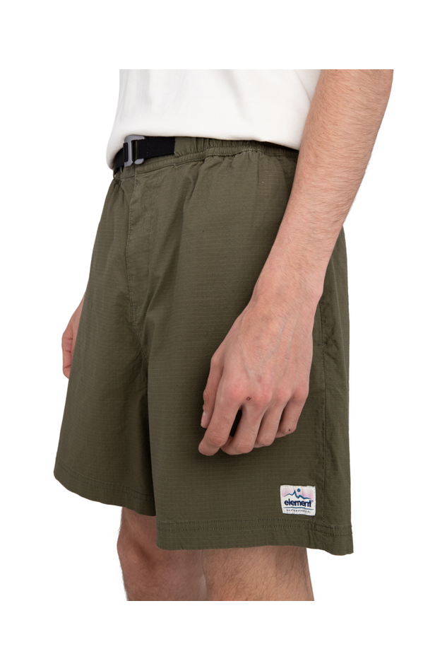 Element Chillin Lt Walkshorts Beetle