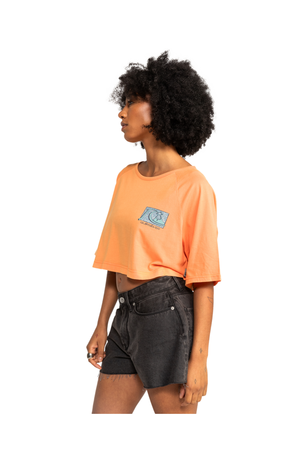 Quiksilver Uni Maxi Raglan T-Shirt Screen Tangerine