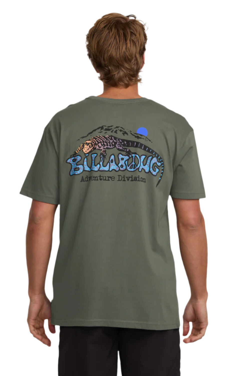 Billabong Lizard Mountain Adv Short Sleeve T-Shirt Slate
