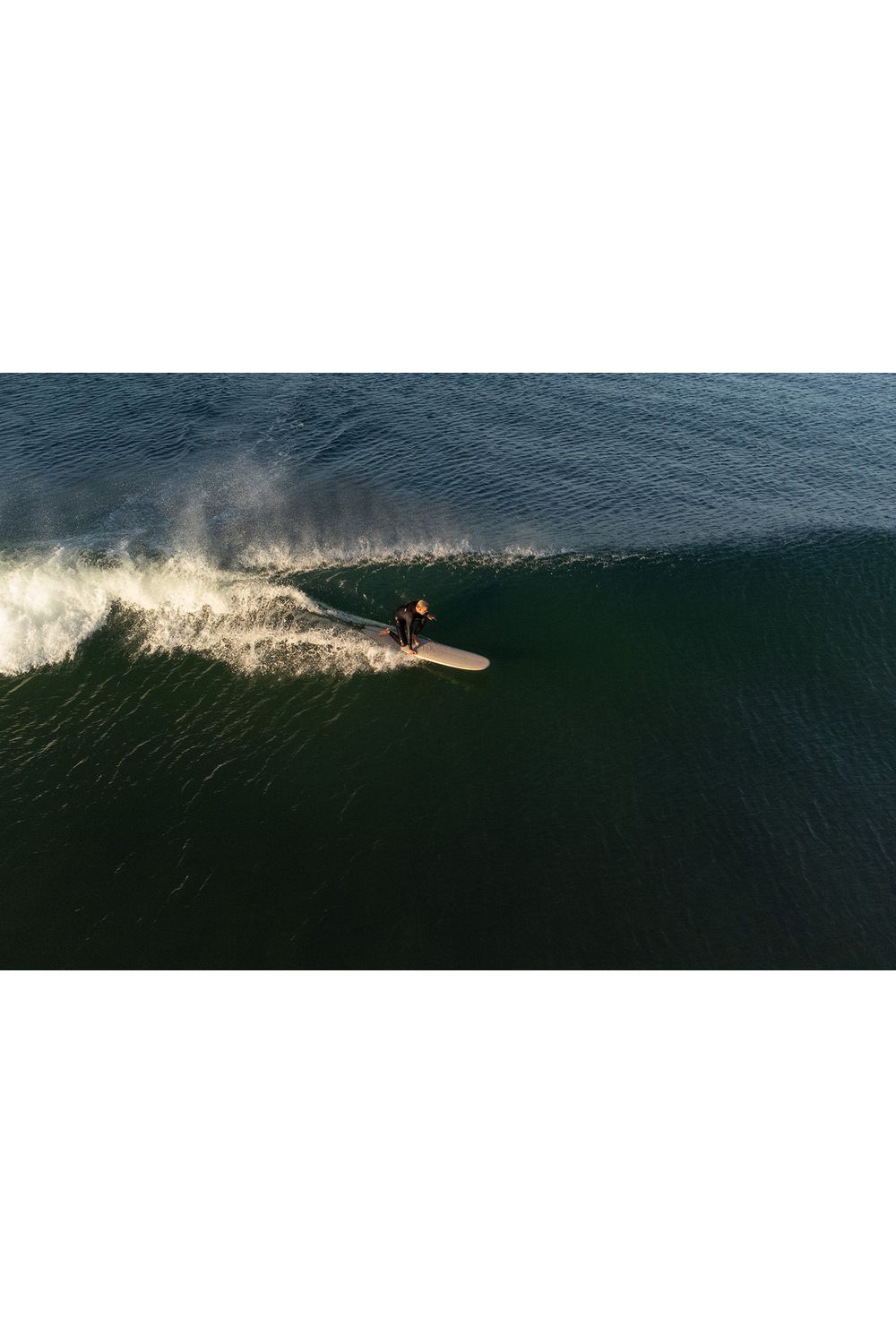 Torq TET Longboard Surfboard in Pinline White