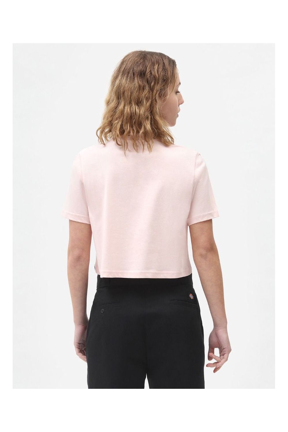 Dickies Globe Crop Tee